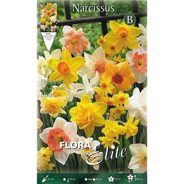 Narcissus All Types Mixed