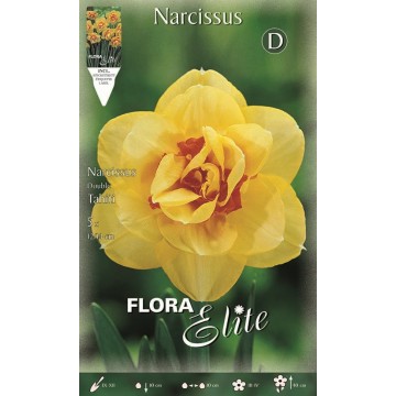 Narcisse Double Tahiti