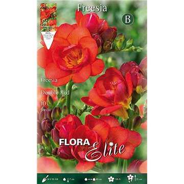 Double Freesia Rouge-Doppie-ITALSEMENTI s.n.c.