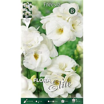 Double Freesia Blanc-Doppie-ITALSEMENTI s.n.c.