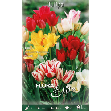 Tulipani Multifioritura Mixed