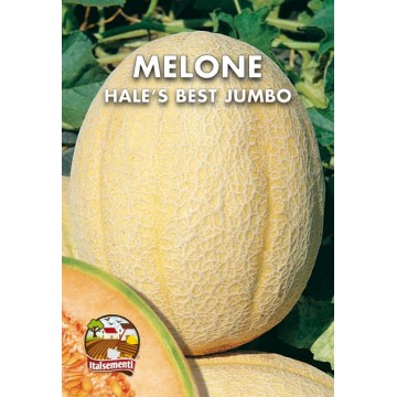 Hale's Best Jumbo Melon-Standard and SuperMaxi Envelopes-ITALSEMENTI s.n.c.