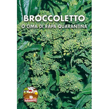 Broccoletto o Cima di Rapa Quarantina