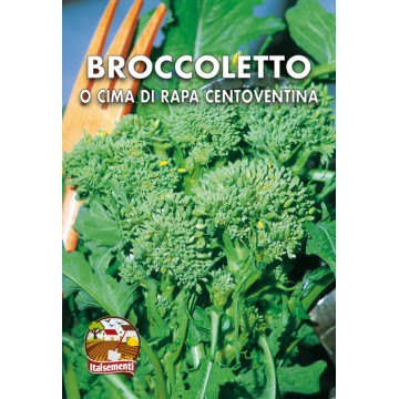 Broccoletto o Cima di Rapa Centoventina