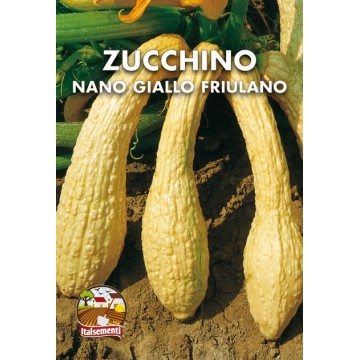 Zucchino Nano Giallo Friulano