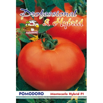 Pomodoro Montecarlo Hybride F1