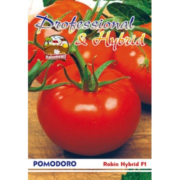 Robin F1 Tomato