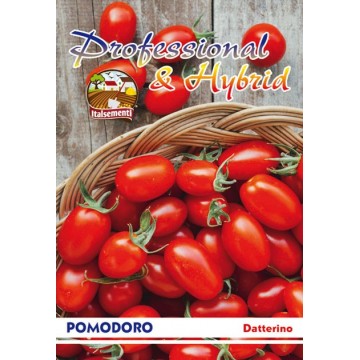 Tomate Datterino-Professionnel & Hybride-ITALSEMENTI s.n.c.