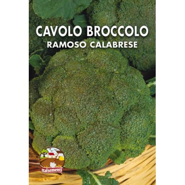 Cavolo Broccolo Ramoso Calabrese
