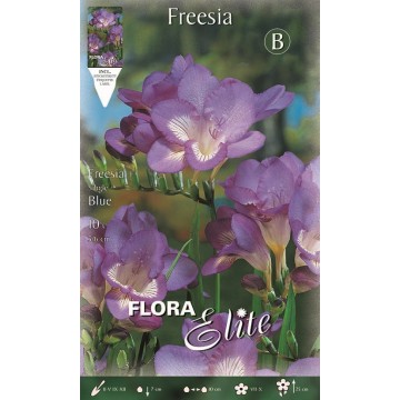 Freesia Simple Bleu