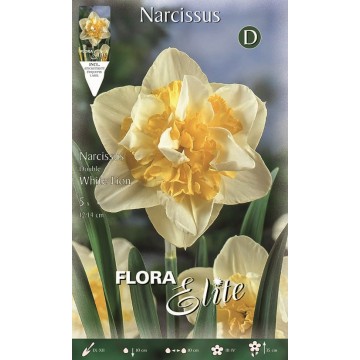 Narcisse Double Lion Blanc-Jonquilles-ITALSEMENTI s.n.c.