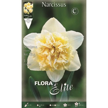 Narcisse Double Roi des Glaces-Jonquilles-ITALSEMENTI s.n.c.