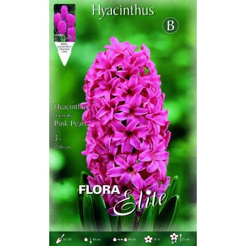 Hyacinth Pink Pearl-Hyacinths-ITALSEMENTI s.n.c.