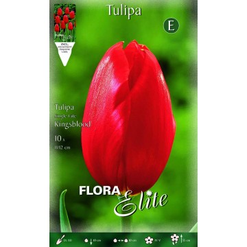 Tulip Single Late Kingsblood-Tulipani-ITALSEMENTI s.n.c.