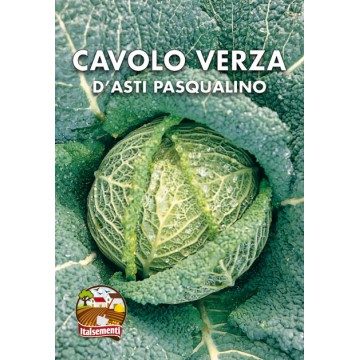 Savoy cabbage from Asti Pasqualino