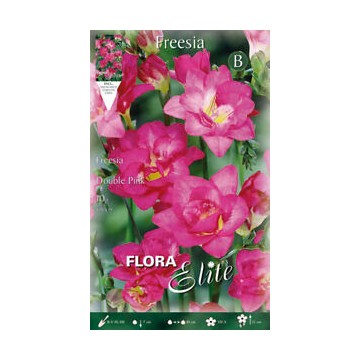 Freesia Double Rose-Fresie-ITALSEMENTI s.n.c.