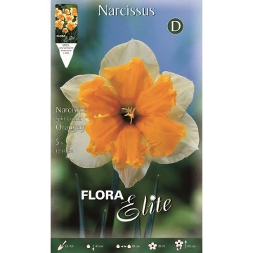 Narciso Split Corona Orangery