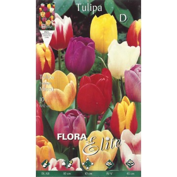 Tulip Triumph Mix-Tulipani-ITALSEMENTI s.n.c.