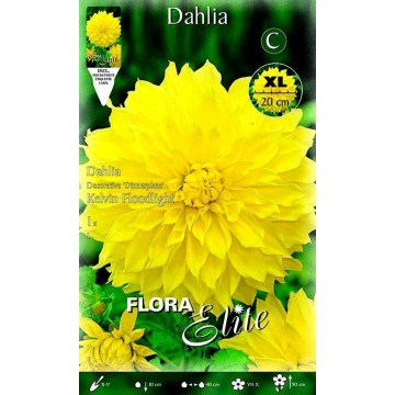 Projecteur Dhalia Kelvin-Primaverili-ITALSEMENTI s.n.c.