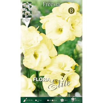 Double Freesia Jaune