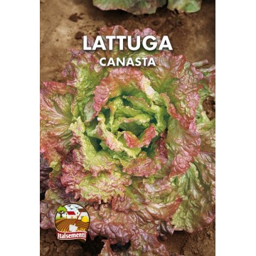Canasta Lettuce